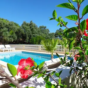 Panoramic Paradise Bed & Breakfast